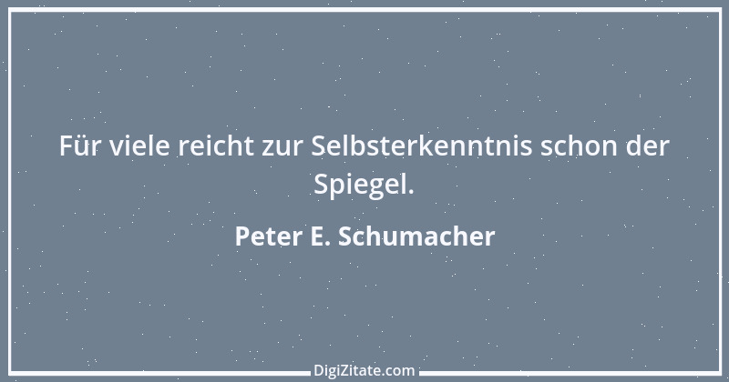 Zitat von Peter E. Schumacher 991