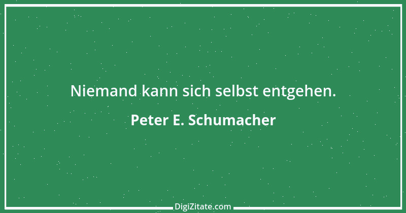 Zitat von Peter E. Schumacher 993