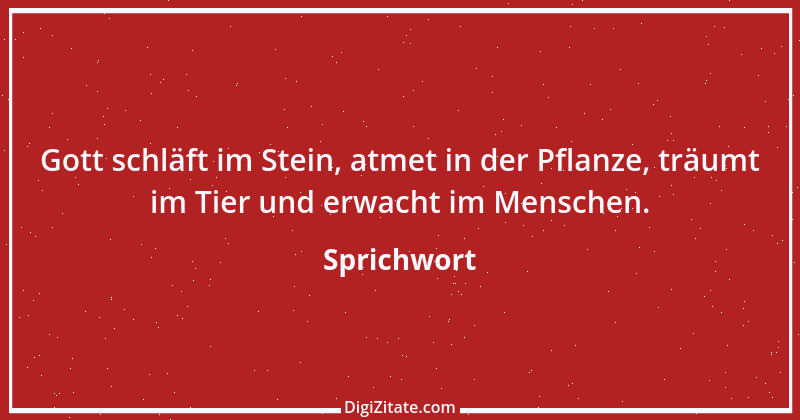 Zitat von Sprichwort 12180