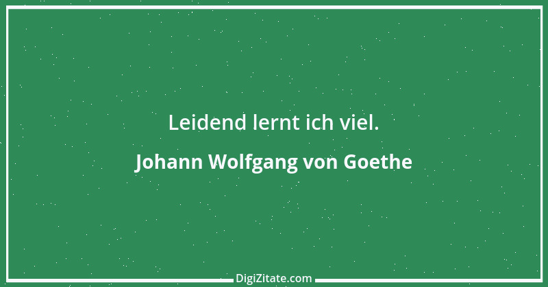 Zitat von Johann Wolfgang von Goethe 3189