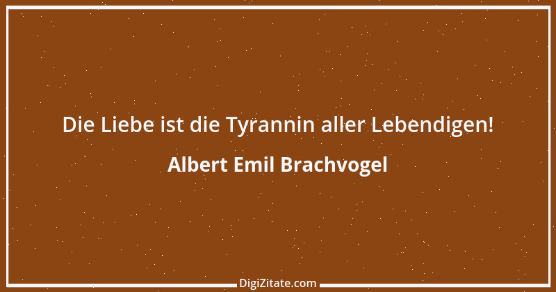 Zitat von Albert Emil Brachvogel 5