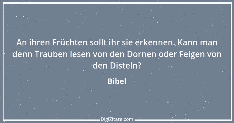 Zitat von Bibel 1228