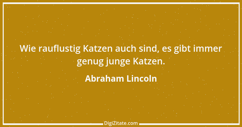 Zitat von Abraham Lincoln 49