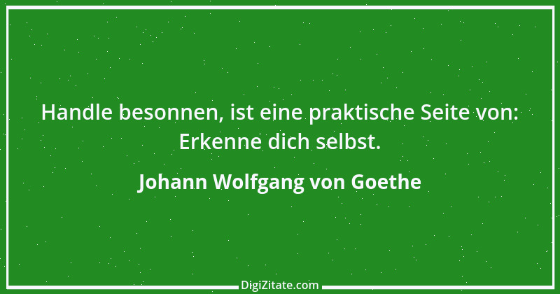 Zitat von Johann Wolfgang von Goethe 2195