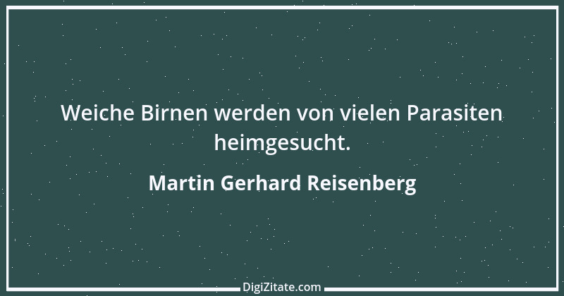 Zitat von Martin Gerhard Reisenberg 3088