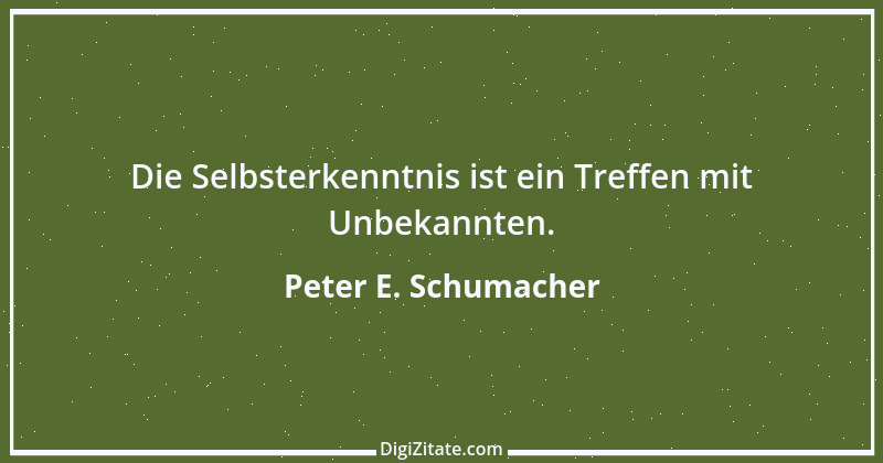 Zitat von Peter E. Schumacher 578