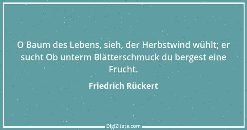 Zitat von Friedrich Rückert 165