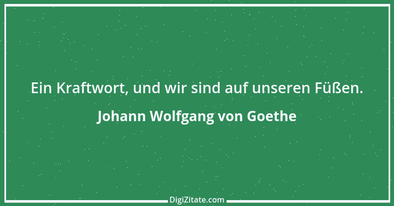 Zitat von Johann Wolfgang von Goethe 4196