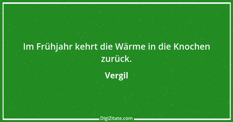 Zitat von Vergil 33