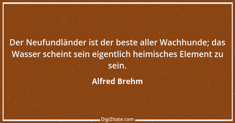 Zitat von Alfred Brehm 39