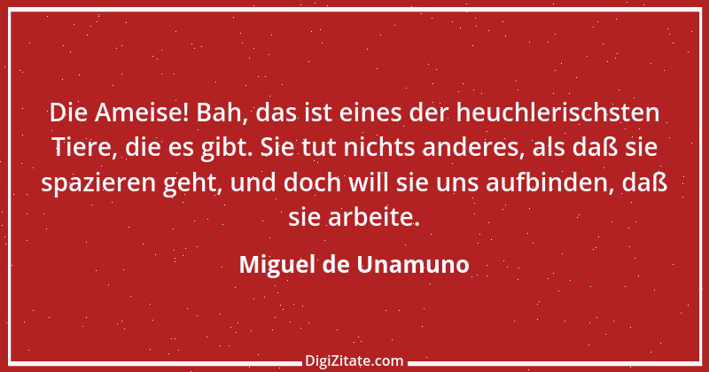 Zitat von Miguel de Unamuno 23