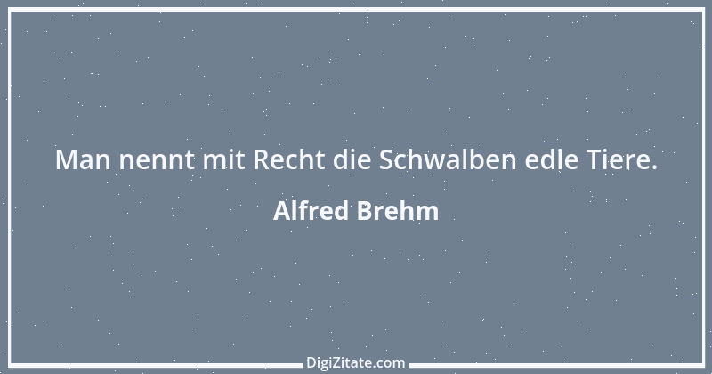 Zitat von Alfred Brehm 40