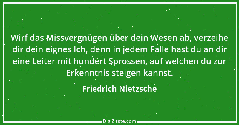 Zitat von Friedrich Nietzsche 137