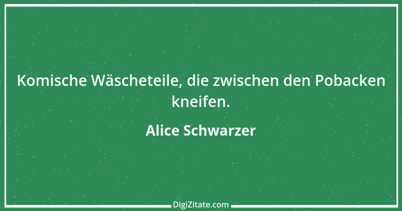 Zitat von Alice Schwarzer 18