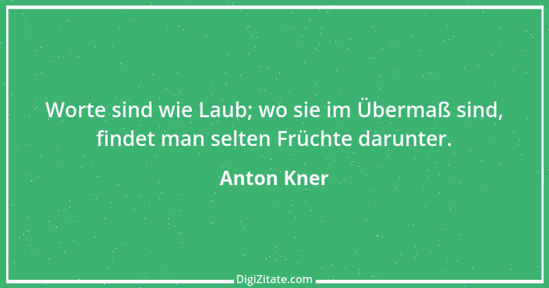 Zitat von Anton Kner 8