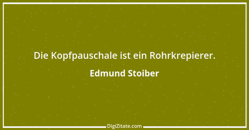 Zitat von Edmund Stoiber 48