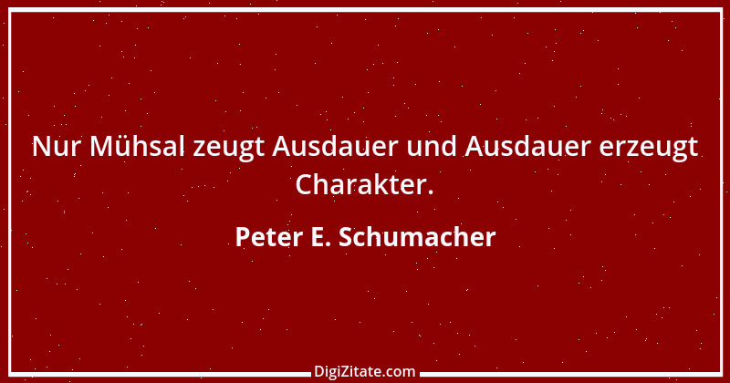 Zitat von Peter E. Schumacher 8