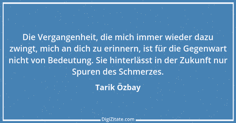 Zitat von Tarik Özbay 8