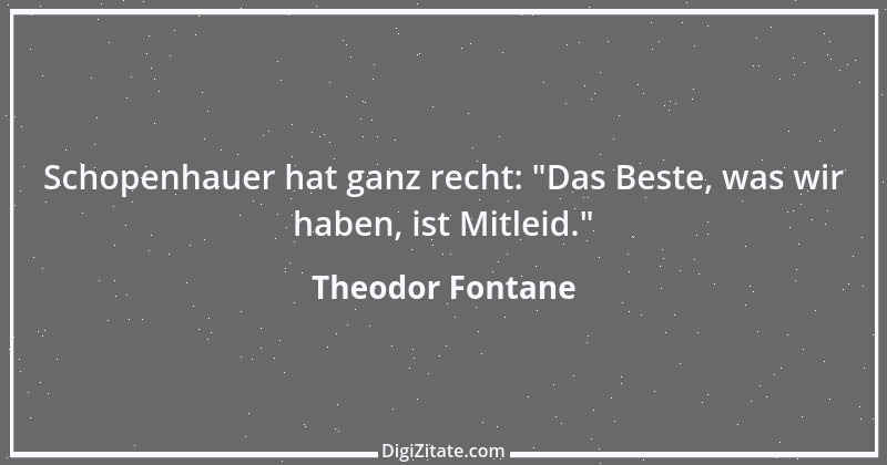 Zitat von Theodor Fontane 465