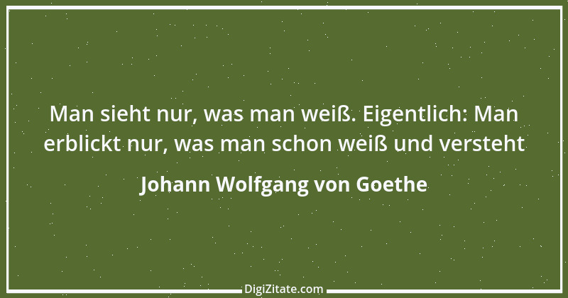 Zitat von Johann Wolfgang von Goethe 2204