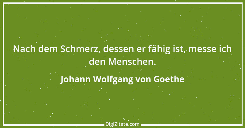 Zitat von Johann Wolfgang von Goethe 4204