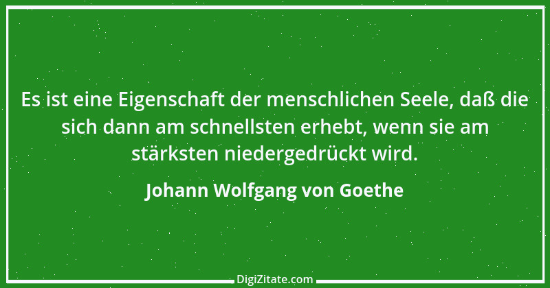 Zitat von Johann Wolfgang von Goethe 1205