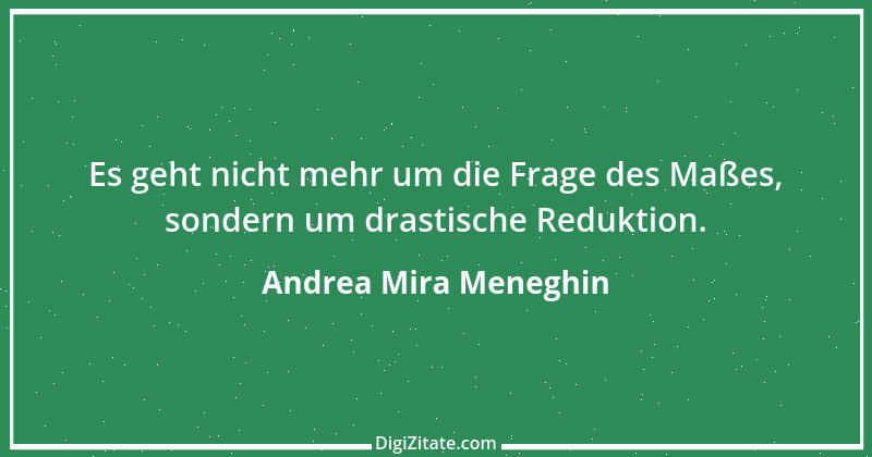 Zitat von Andrea Mira Meneghin 364