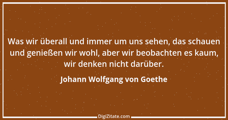 Zitat von Johann Wolfgang von Goethe 3774