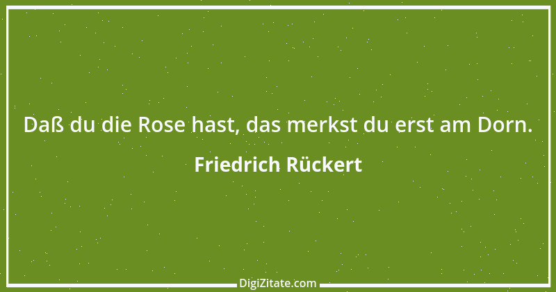 Zitat von Friedrich Rückert 175