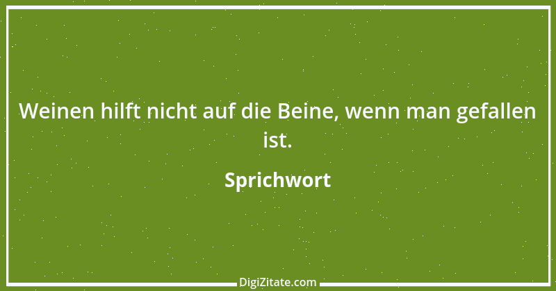 Zitat von Sprichwort 8198