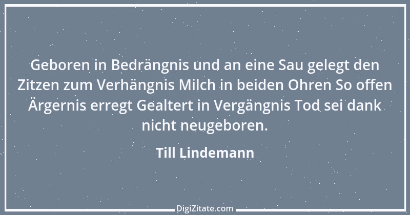 Zitat von Till Lindemann 1