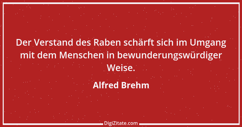 Zitat von Alfred Brehm 48