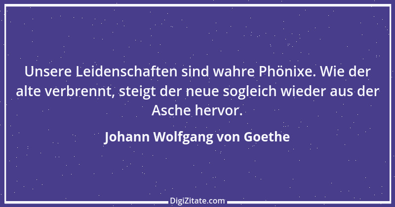 Zitat von Johann Wolfgang von Goethe 1208