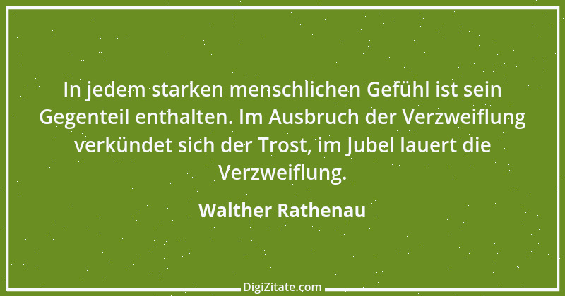 Zitat von Walther Rathenau 14