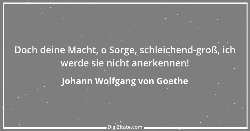 Zitat von Johann Wolfgang von Goethe 3210