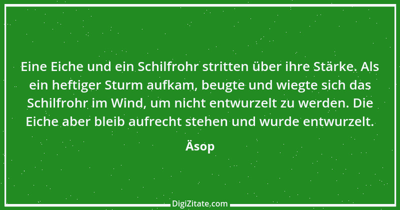 Zitat von Äsop 6