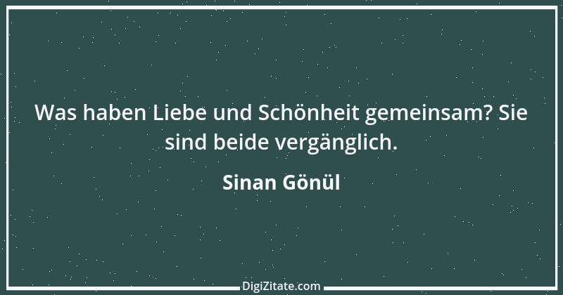 Zitat von Sinan Gönül 16