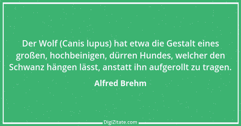 Zitat von Alfred Brehm 54