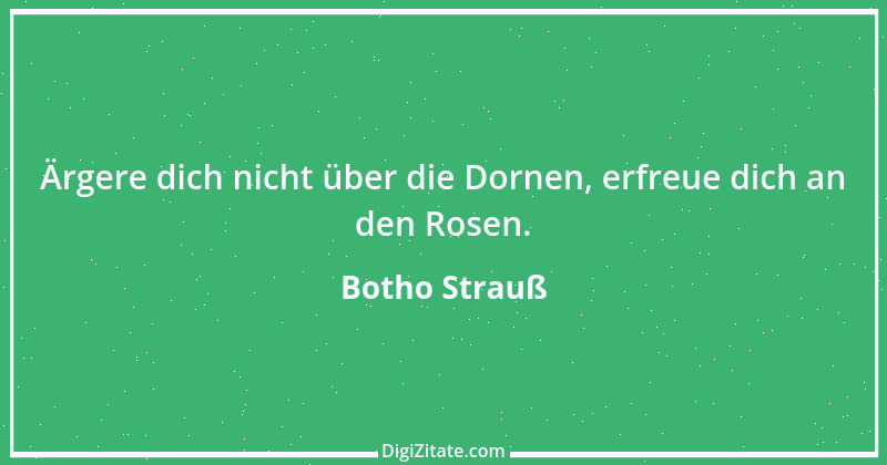 Zitat von Botho Strauß 1