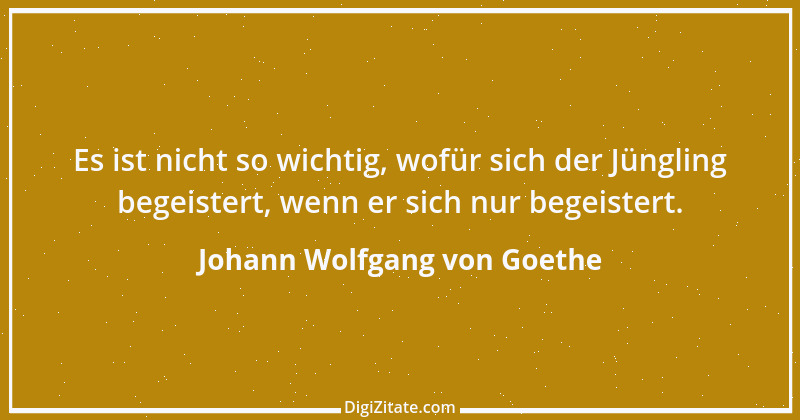 Zitat von Johann Wolfgang von Goethe 2213