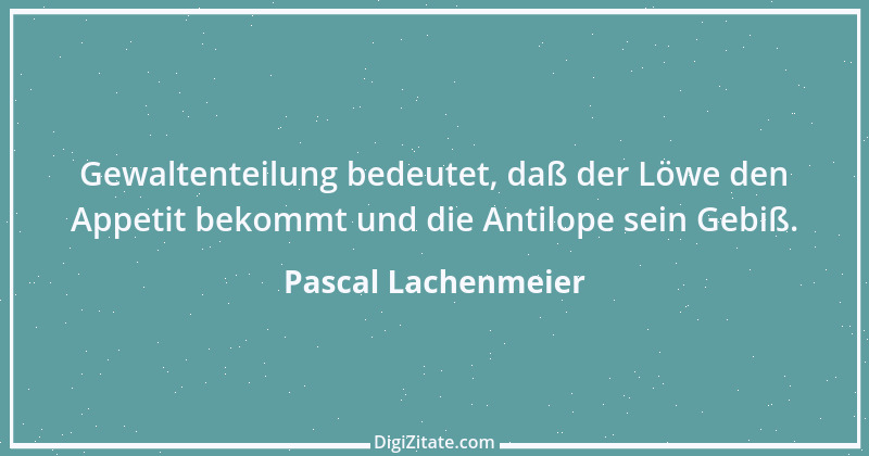 Zitat von Pascal Lachenmeier 1