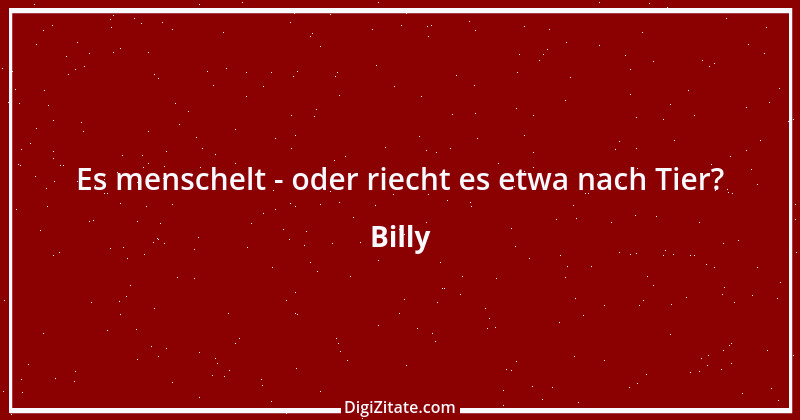 Zitat von Billy 293