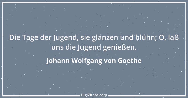 Zitat von Johann Wolfgang von Goethe 4214