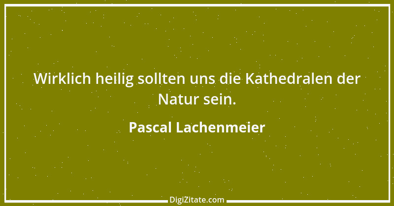 Zitat von Pascal Lachenmeier 2