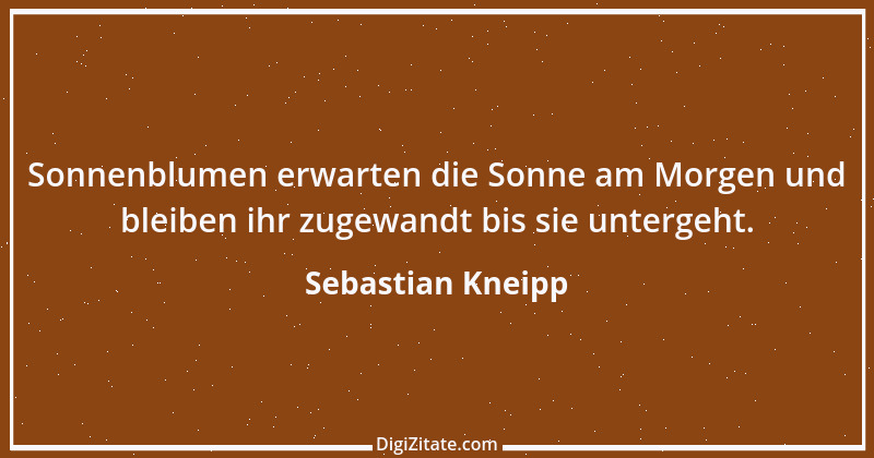 Zitat von Sebastian Kneipp 3