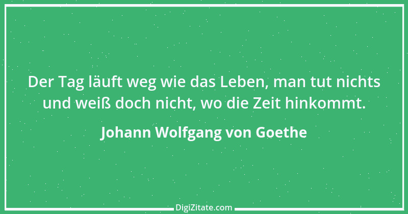 Zitat von Johann Wolfgang von Goethe 3216