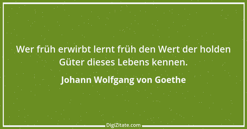 Zitat von Johann Wolfgang von Goethe 4216