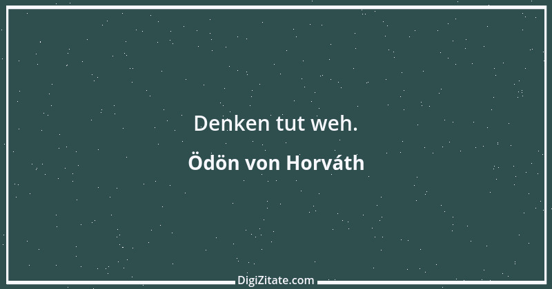 Zitat von Ödön von Horváth 12