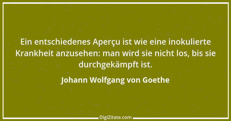 Zitat von Johann Wolfgang von Goethe 218