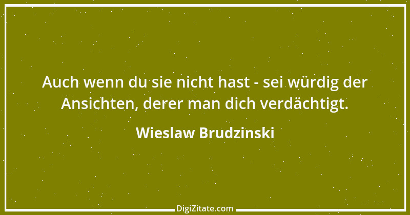 Zitat von Wieslaw Brudzinski 11